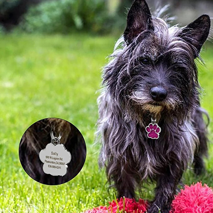 Personalized Dog Tag Stainless Steel Name Engraved ID Tags For Dog Collar Anti-Lost Pet Nameplate Pendant For Pitbull Labrador