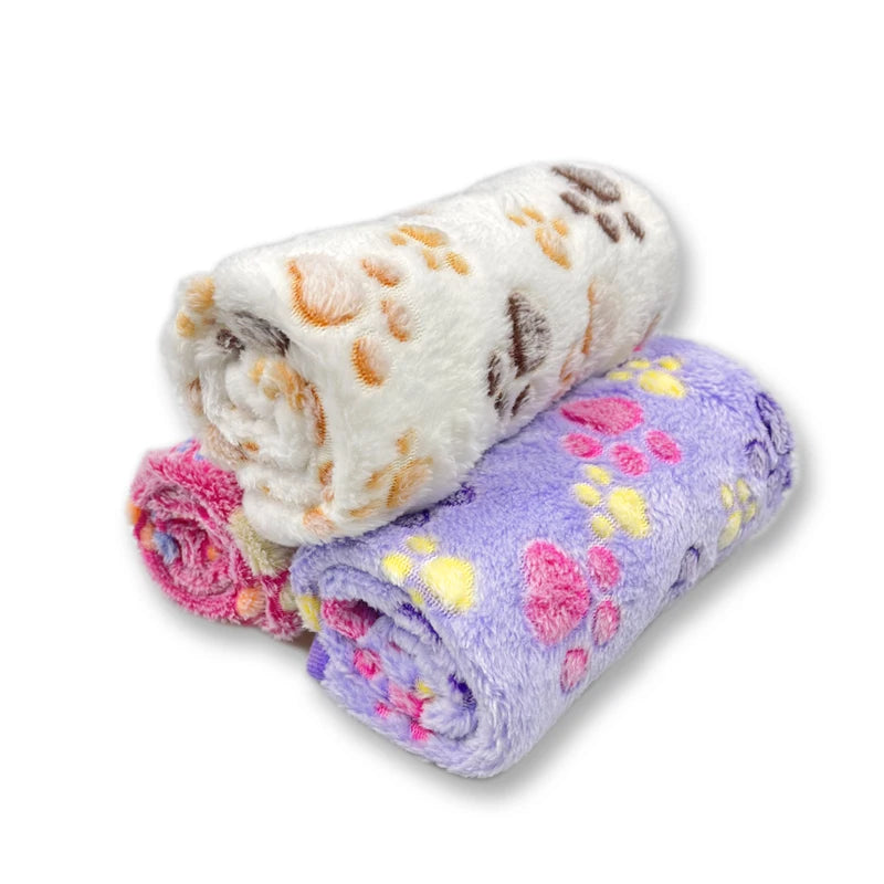 Soft and Fluffy High Quality Pet Blanket Cute Cartoon Pattern Pet Mat Warm and Comfortable Blanket for Cat and Dogs Pet Supplies