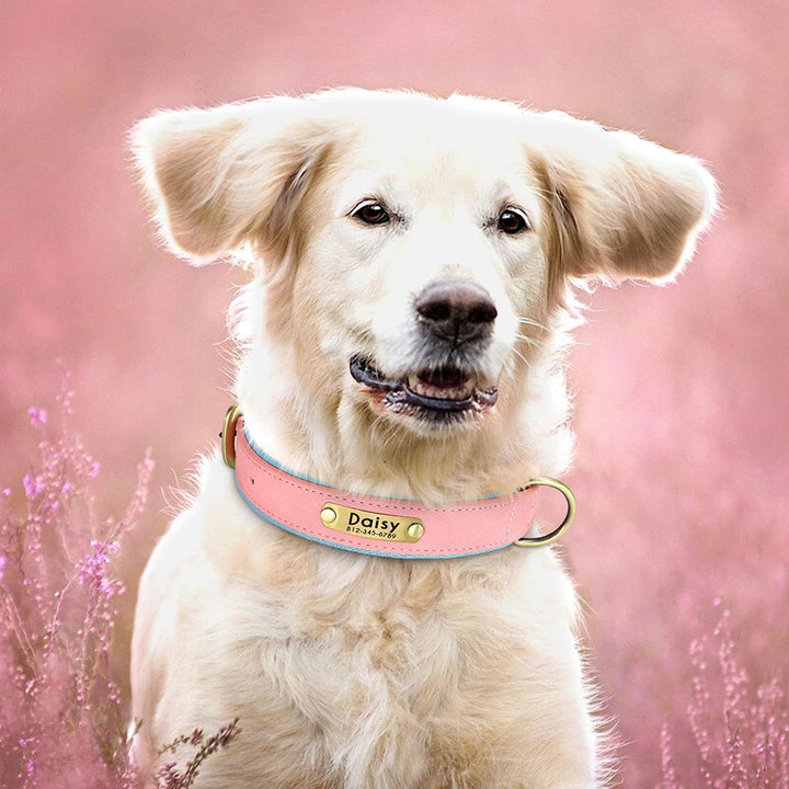 Customized Leather ID Nameplate Dog Collar Soft Padded Dogs Collars Free Engraving Name for Small Medium Large Dogs Adjustable