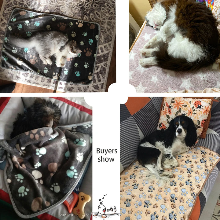 Soft and Fluffy High Quality Pet Blanket Cute Cartoon Pattern Pet Mat Warm and Comfortable Blanket for Cat and Dogs Pet Supplies