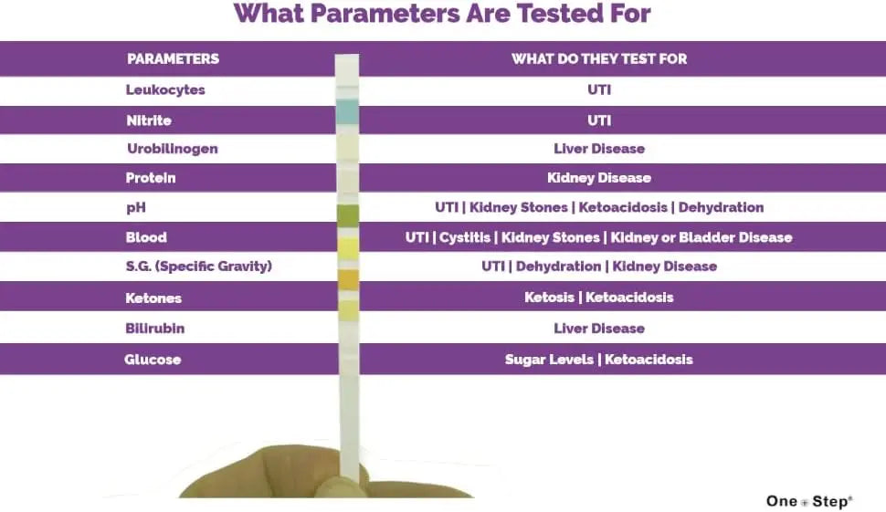 Pet Urine Testing Strips, 100 Urinalysis Parameter Tests for Dogs,Cats,Vets, Accurate Testing for Veterinarians, Detects UTI pH